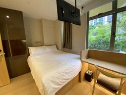 Mount Elizabeth Link (D9), Condominium #466085461